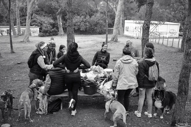 Photo d'activité publiée sur Instagram