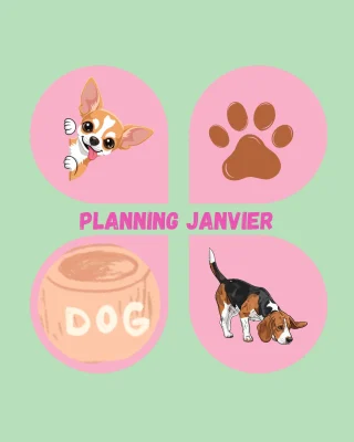 Planning des activités publié sur Instagram